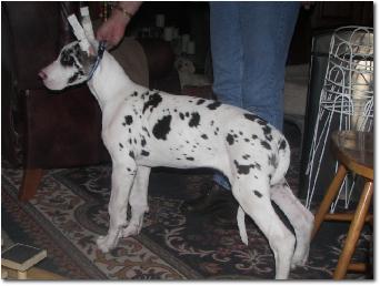 Beau3months2